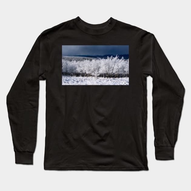 Winter Scene  with the Mountains in the background. Long Sleeve T-Shirt by CanadianWild418